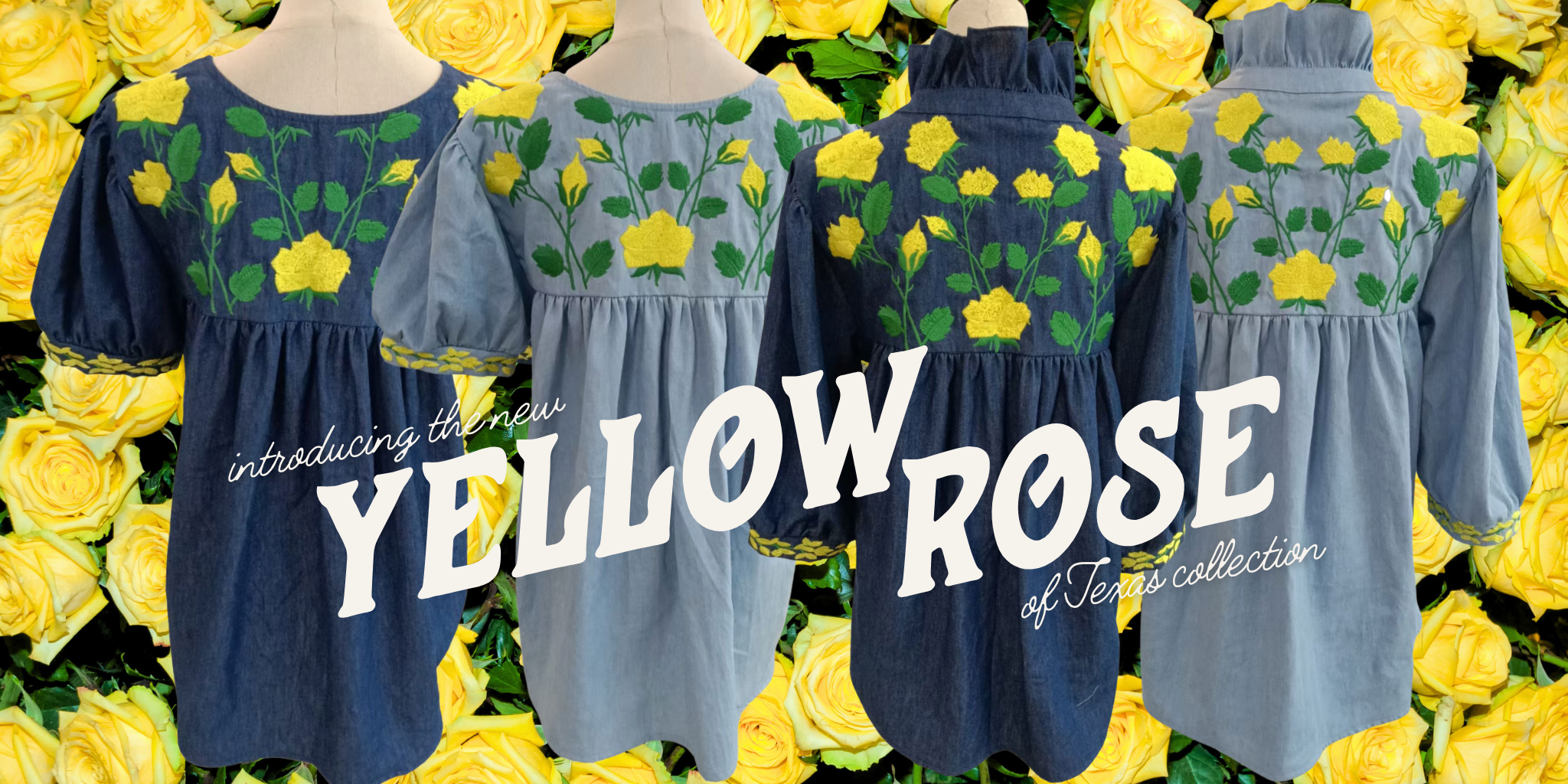 Yellow Rose of Texas 2025